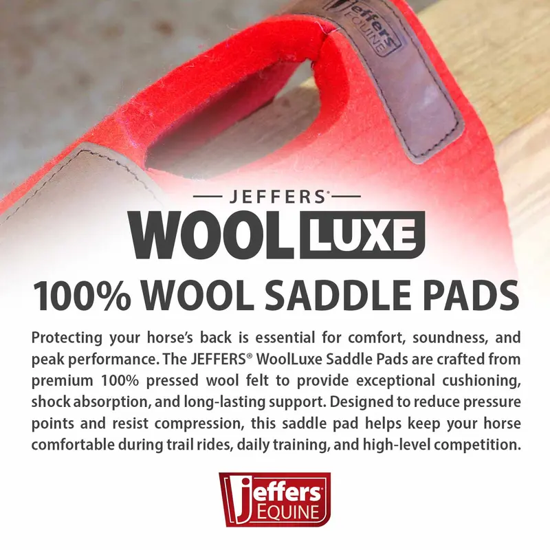 Jeffers WoolLuxe 100% Wool Equine Saddle Pad – Cushioned, Breathable, and Shock-Absorbing