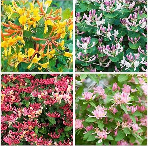 deep planter pots Treepots – Greenhouse Megastore main image 1