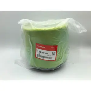 Honda Genuine OEM 17254-HP6-A00 Air Filter