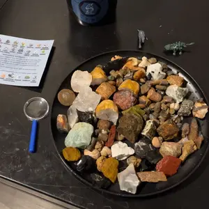 Small Fossil Mining Bucket - Quart Bucket - 4-5 lbs Total - Over 12 Different Types of Fossils and Natural Crystals