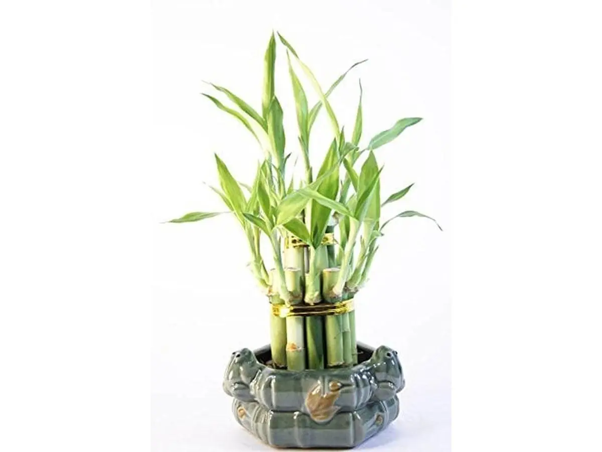 2-Layer Lucky Bamboo Tower, Ceramic Fengshui Sculpture, Home Decor Ornaments for Home Supplies