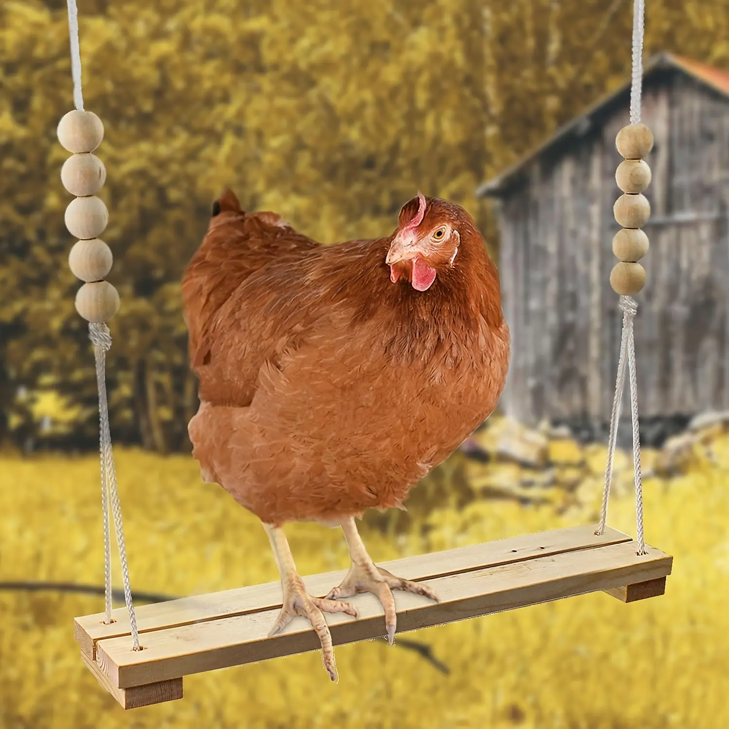 Natural Wooden Chicken Swing Toy - Handmade, Safe Coop Addition with Large Durable Ladder - Poultry Run Entertainment & Stress Relief for Hens, Roosters, Chicks