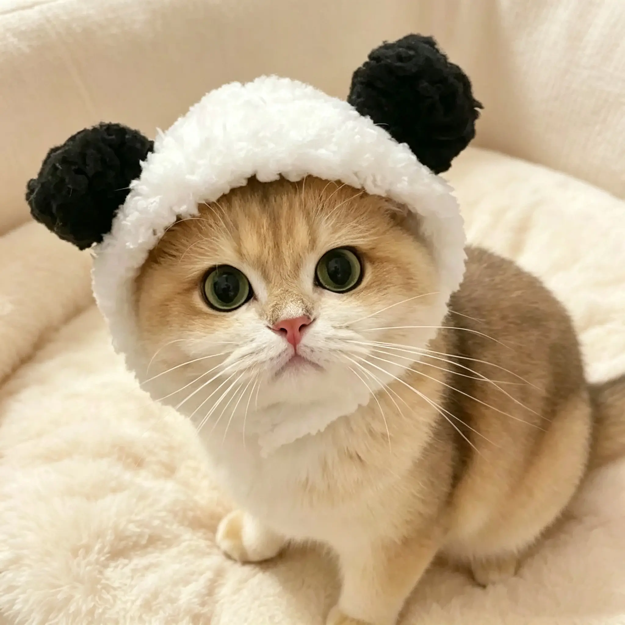 Cute 3D Bear-Ear Fleece Pet Hat (suitable for small cats and dogs); a stylish hat for all seasons featuring an adjustable Velcro strap—perfect for photos; available in Panda