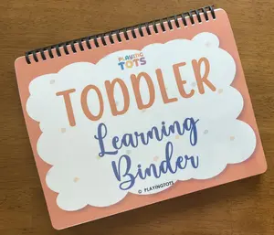 Toddler Learning Binder, Preschool Busy Book, PreK Activity Book, Homeschool