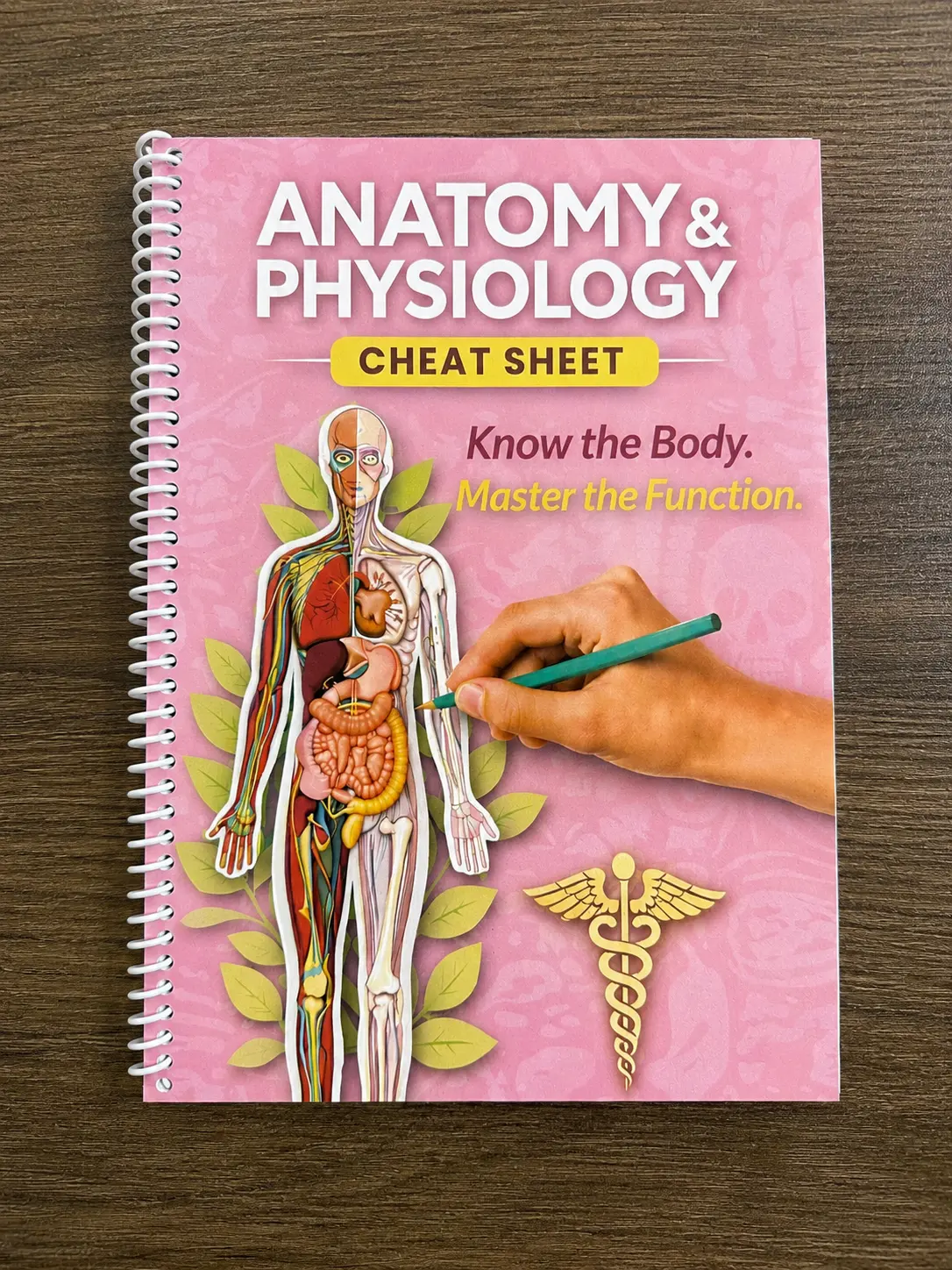 Anatomy & Physiology Cheat Sheet