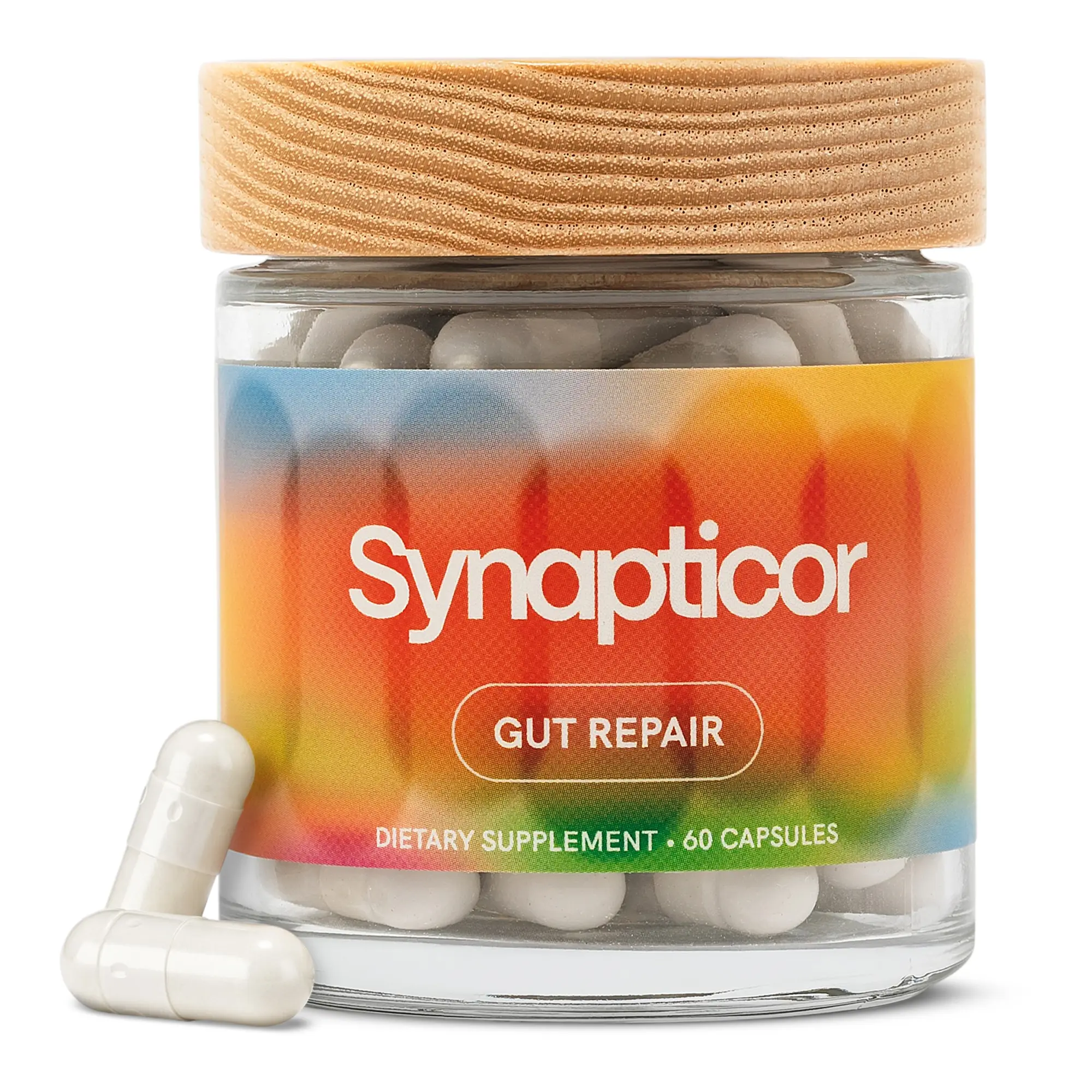 Synapticor Digestive Support Supplement, Bloating Support, Regularity Support, Digestive Comfort, Gut Lining Support, 60 Capsules