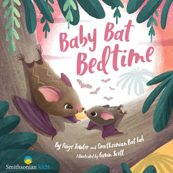 Baby Bat Bedtime -- Paige Towler, Hardcover