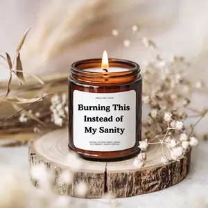 Burning This Instead Of My Sanity, Funny Relatable Saying, Birthday Gift, Gift For HerHim, Anniversary Gift, Gift For Mom, Soy Wax Candle