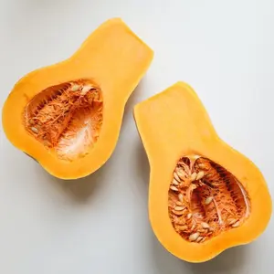 Winter Butternut Squash Seeds fall vegetables