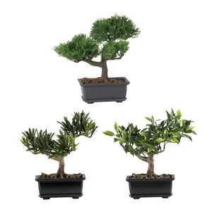 8.5" Bonsai Plant Collection Set of 3 by NearlyNatural
