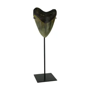 Mounted Giant 6 Inch Megalodon Shark Tooth Fossil Replica Sculpture