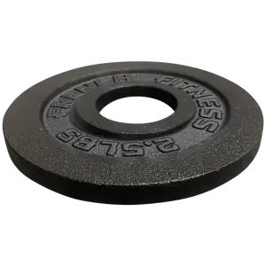 French Fitness Cast Iron Olympic Weight Plate V1 2.5 lbs (New)