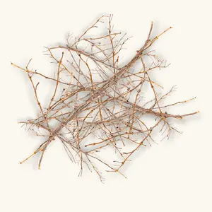 Natural Bush Honeysuckle Twigs (15c) by Betta Botanicals for Blackwater Aquariums