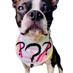 Scrunch-Danna! Surpise Scrunch-Danna for cats or dogs, Easy to put on and take off.