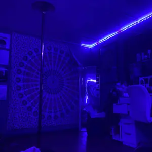 review image 2