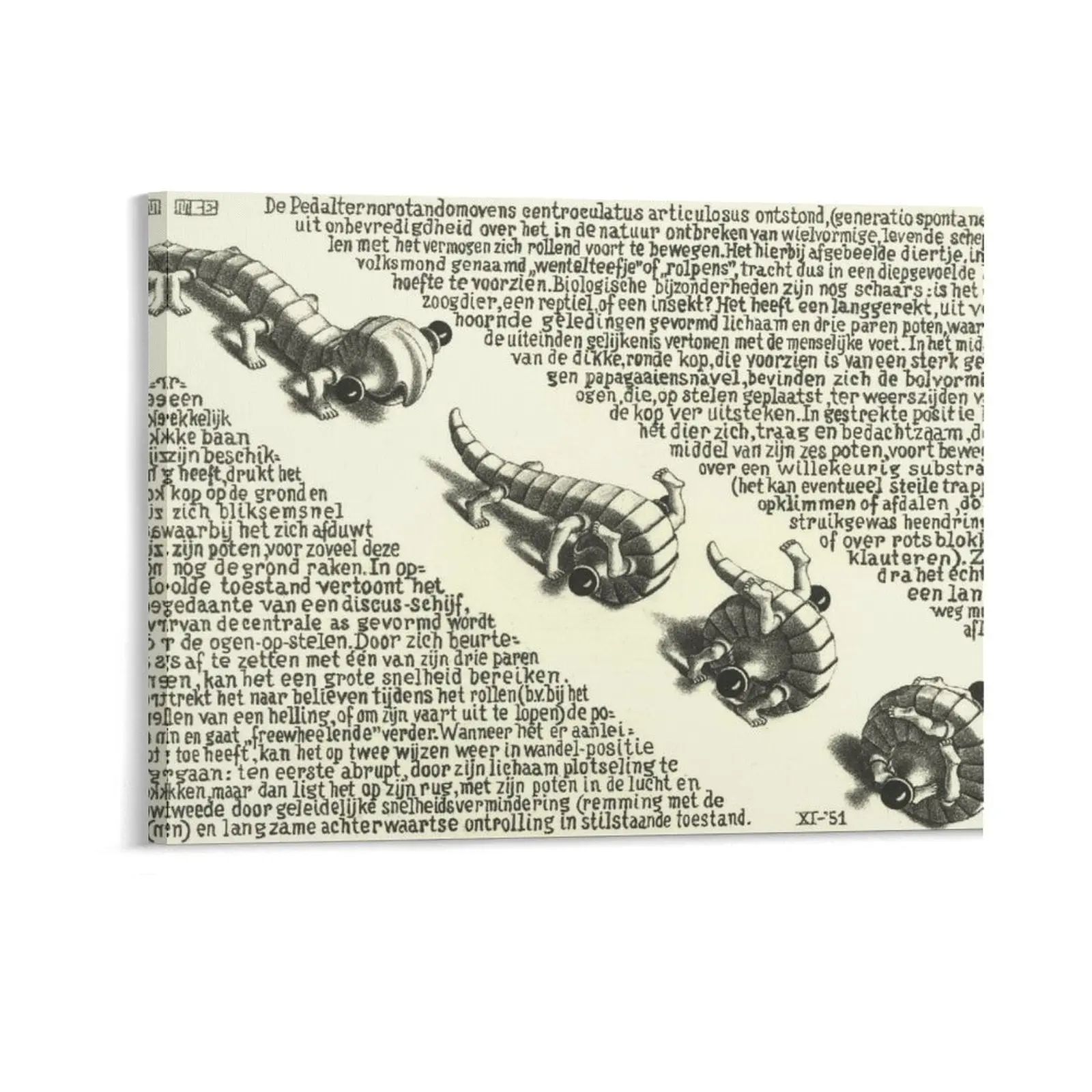 M. C. Escher Rolling Stones Art  Poster Picture Frame Print Wall Art Poster Painting Canvas Posters Artworks Gift Idea Room Aesthetic