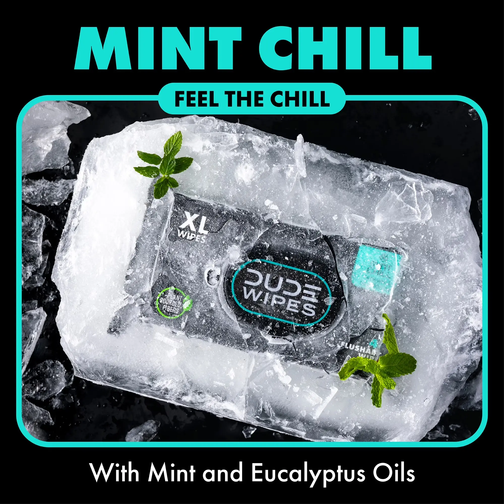 DUDE Mint Chill Adult Flushable Wet Wipes, Refreshing, 288 Count | 99% water, extra large flushable butt wipes. Ultra refreshing tea tree oil, vitamin E and aloe