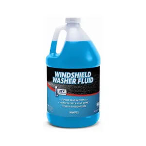 True Value  1 gal 32DEG Windshield Washer Fluid