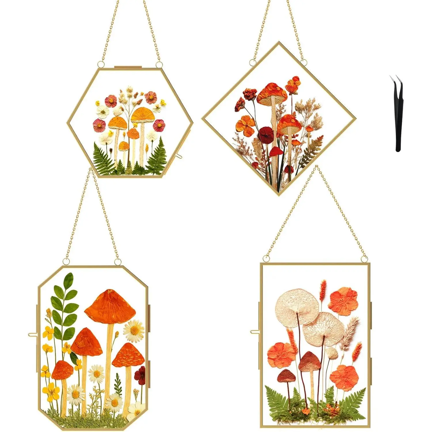 4PCS Classic Brass Metal Multi-Size Geometric Pressed Flower Hangable Photo Frames - 4''x6''/5.5''x5.5'' Double Glass Wall Frames with Chain, Tweezers, Dried Floral Decor, Feather Accent, Nature-Infused Office Wall Decor, Ideal Valentine's Day Gift