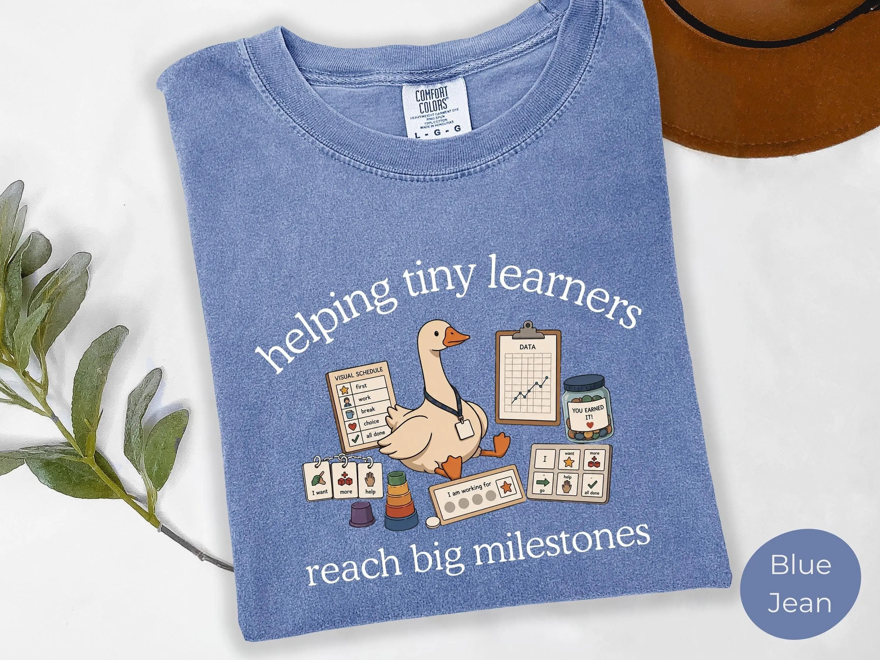 BCBA Shirt, Comfort Colors RBT shirts, Silly Goose ABA gift, aba shirt, Special Education Teacher Tshirt, slp Therapist tee, Back to School
