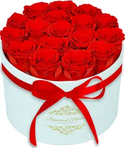 17 Forever Flowers in a Luxury Suede Box, Preserved Roses Birthday Gifts for Women, Romantic Anniversary Mothers Day Gifts for Mom Her Girlfriend Wife Grandma, Red
