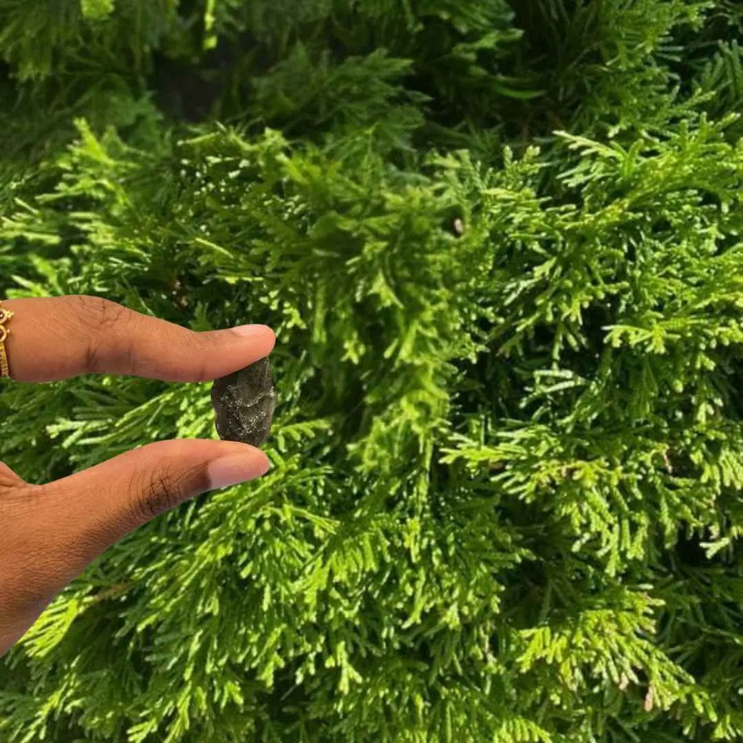 Moldavite  348