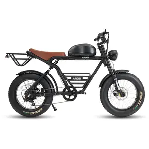 HAOQI Rhino Electric Motorbike (Full Suspension/1000W motor)