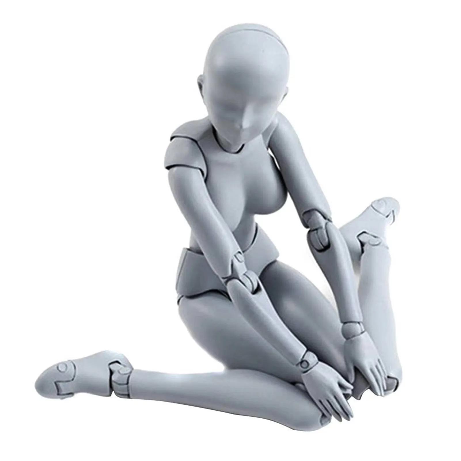 Sketch Draw Figurines Male Female Movable Body Kun Body Chan Joint Pain Anime Figure Shf Action Figure Toy Model Draw Mannequin