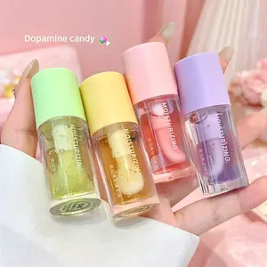 Fruit Flavor Glossy Lip Oil Hydrating Jelly Lip Tint Plumping Lip Essence Holiday Gift