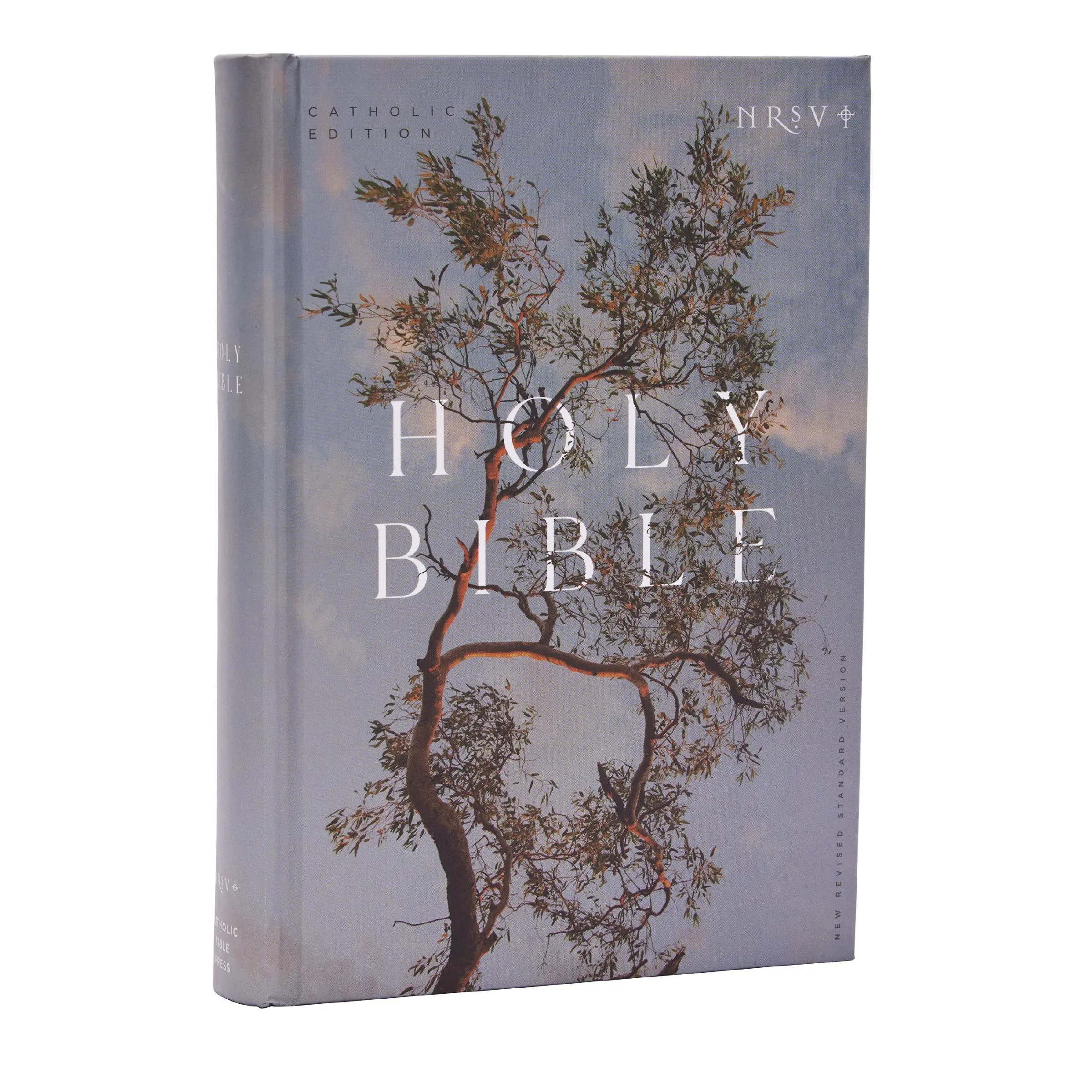 NRSV Catholic Edition Bible, Eucalyptus Hardcover (Global Cover Series): Holy Bible by Catholic Bible Press [Hardback Book]
