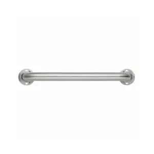 Homewerks Worldwide  42 in. Stainless Steel Conceal Shower Grab Bar