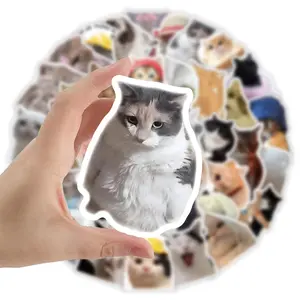 3pcs Cat Stickers Roll with 500 Stickers, Cute, Quirky and Aesthetic Design, 14 Patterns for Scrapbooking and DIY Phone Case, Great for Students and Office