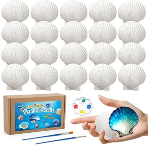 20 count Scallop Shells, Seashells for Crafts, 2''-3'' White Sea Shells for Crafting Decorating, Painting, Large Seashells to  DIY Craft Beach Wedding Party Decorations