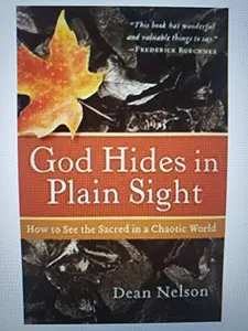 USED-God Hides in Plain Sight: How to See the Sacred in a Chaotic World by Dean Nelson (Hardcover)