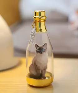 Custom Photo Bottle with Acrylic Standee & Tag, Personalized Mini Keepsake Bottle, Custom Figure Display, Gift for Office, Couple, Pet, Team