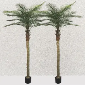 Set of 2, 103-inch artificial coconut trees. Easy to assemble and versatile for indoor & outdoor use. Ideal for commercial space display and home decor, also a premium housewarming gift option. outdoorfun