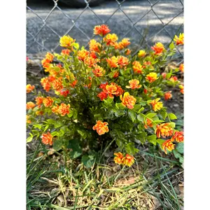 Artificial Orange Eucalyptus Plant/Bush fake  flowers