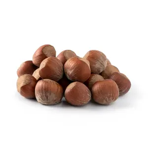 NUTS U.S. - Oregon Hazelnuts In shell | Whole, Raw and Unsalted | No Added Flavor and NON-GMO | Fresh Buttery Taste and Easy to Crack | Natural Unshelled Hazelnuts Packed in Resealable Bags!!! (1 LB)