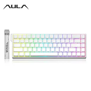 Aula Win 68he Wired Magnetic Axis Keyboard, Plug-And-Play, 8khz Return Rate, Cool RGB Lighting Effect, Online Web Driver, Professional Gaming Office Use