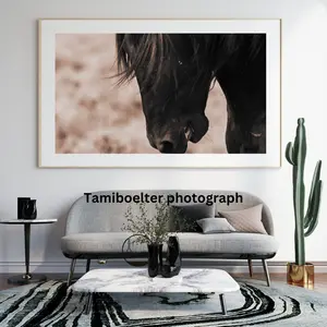 Black Horse head Design Wall Art Frame - Hanging Ornaments and Decor for Home Hangable Decoration Decoration Hangable Hangable Decoration