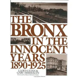 USED-The Bronx in The Innocent Years (Life in The Bronx Series) by Ultan (Hardcover)