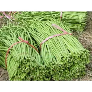 Bean Seeds - Green Yard Long - Pole - Ideal for Growing Vegetables