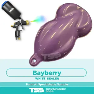 Bayberry Painted Sample (White Ground Coat)