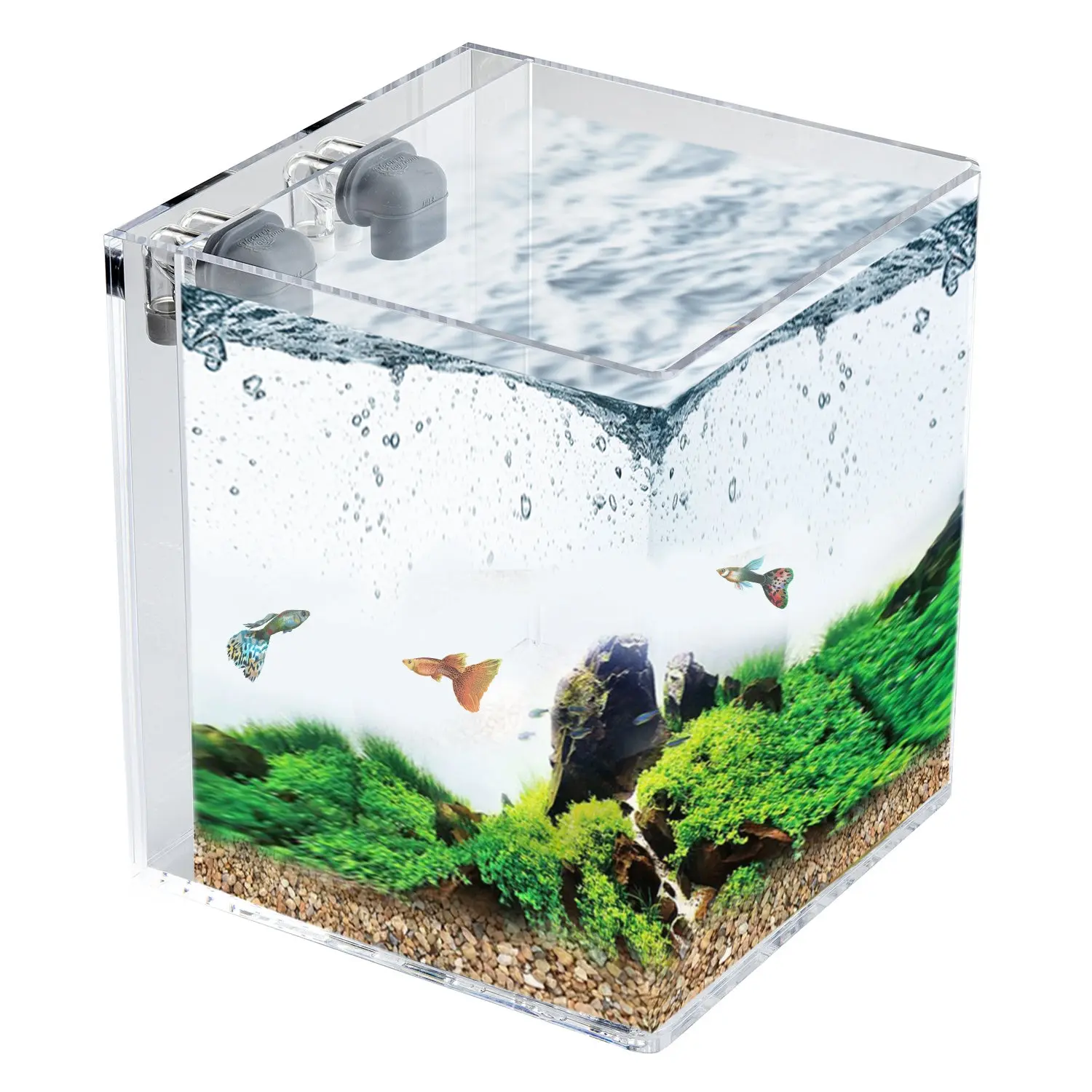 3 GALLON Self-Cleaning Aquarium | Rimless | Seamless | Cube