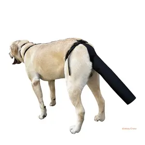 Chewy Crew Dog Tail Guard for Injury Recovery, Adjustable Protective Sleeve Prevents Licking & Biting, Aids Healing for Wounds, Hair Loss or Grooming
