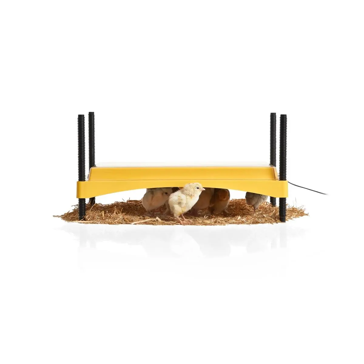 Brinsea Products Eco Glow Safety 1200 Chick Brooder - Portable, Safe Brooding Solution for Greenhouses, Seed Starters