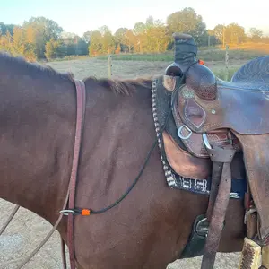 Durable Rein Saver and Keeper for Trail Riding - Western Horse Tack Accessory