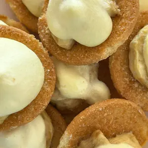 Freeze Dried Vanilla Pudding Bites