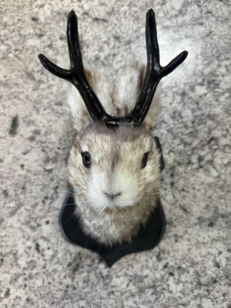 Item: 1 piece, rabbit