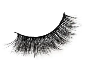 Babygirl Collection: Fun & Flirty